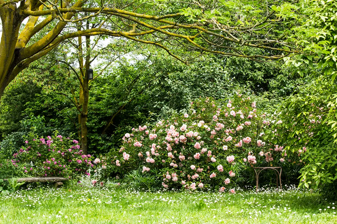 L’arte del paesaggio