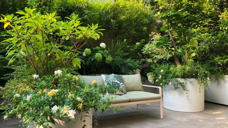 Atmosfere che nascono dal verde