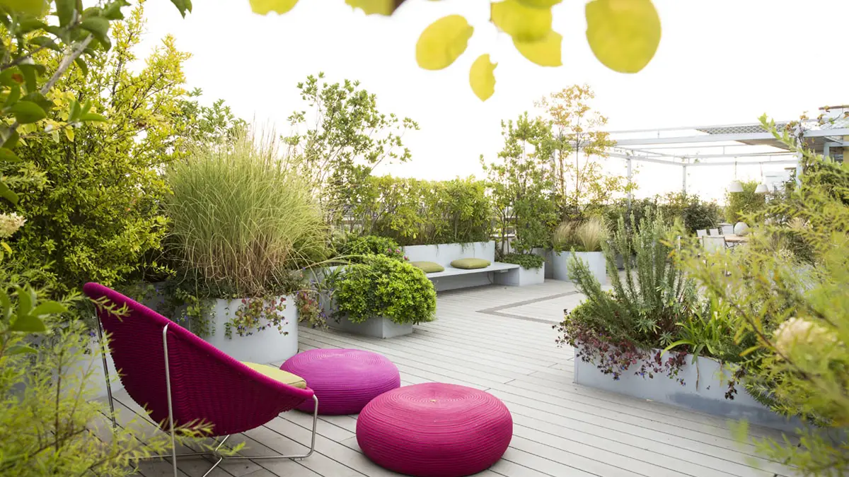 Selvaggio con disciplina