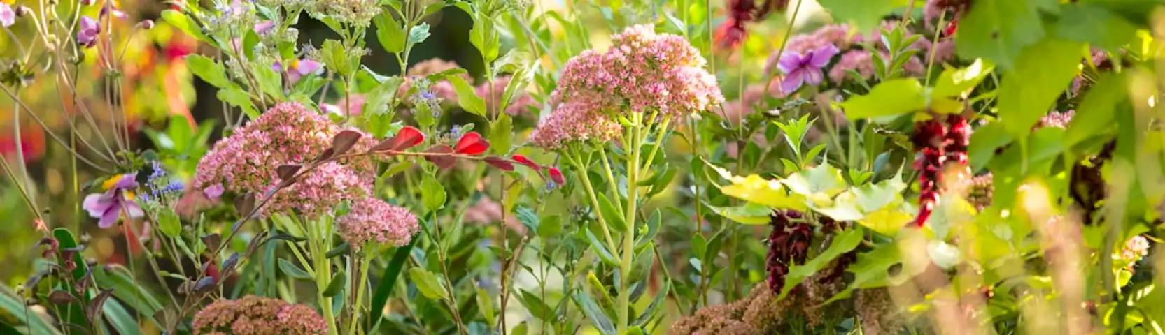 L'arte di creare atmosfere